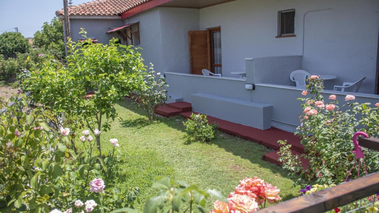 Rose Garden Mytikas (Epirus)